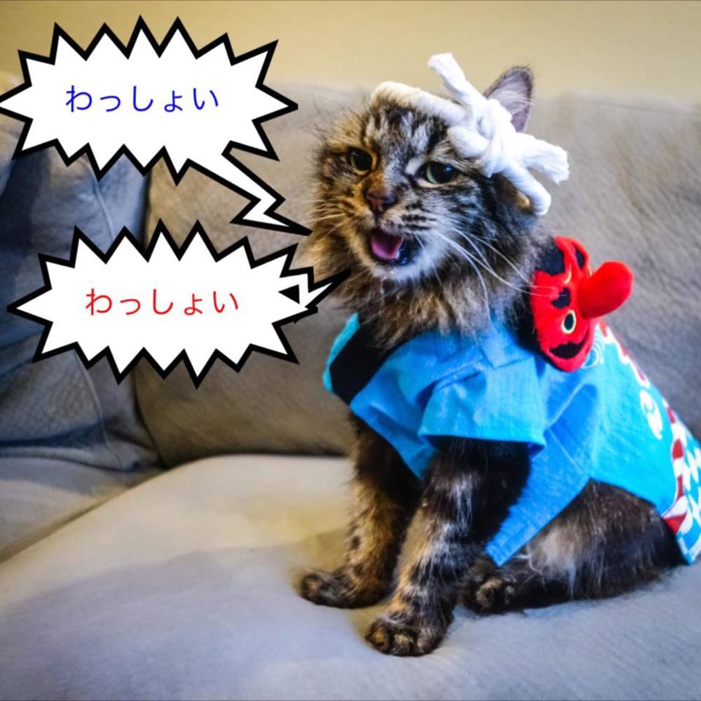 Meet your Posher, Alice